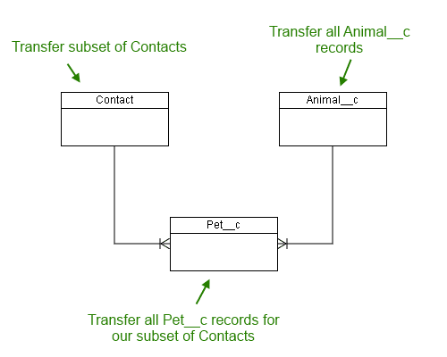 example erd